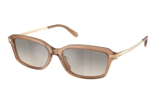 Vista frontale Ralph Lauren RL8245U (637708)