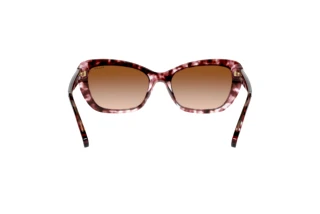 Vue arrière Ralph RA5264 (584513)