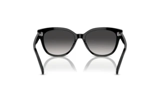 Vue arrière Ralph RA5305U (50018G)