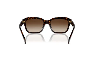 Vue arrière Ralph RA5312U (500313)