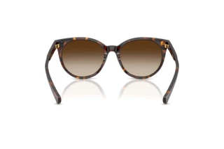 Vue arrière Ralph RA5331U (500313)