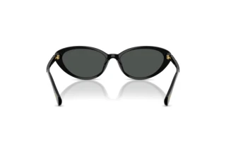 Vue arrière Ralph RA5338U (500187)