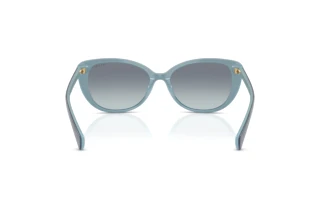 Vue arrière Ralph RA5340U (629219)