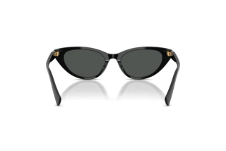 Vue arrière Ralph RA5352U (500187)