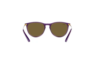 Rückansicht Ray-Ban Kids JUNIOR ERIKA (RJ9060S - 713173)
