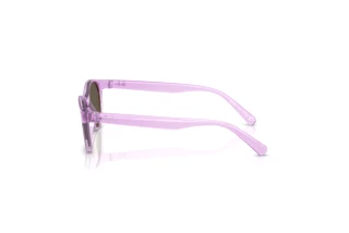 Seitenansicht Ray-Ban Kids RJ9080S (7172/3)