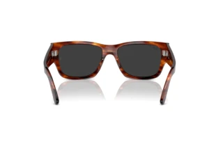 Rückansicht Ray-Ban CARLOS (RB0947S - 954/48)