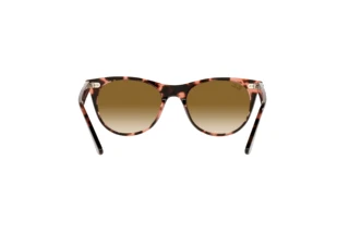 Vista posteriore Ray-Ban WAYFARER II (RB2185 - 133451)