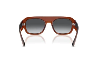 Vue arrière Ray-Ban RB2218 (6678T3)