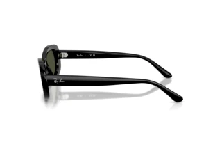 Vue latérale Ray-Ban RB2221 (901/31)