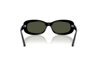 Vue arrière Ray-Ban RB2221 (901/31)