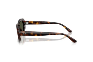 Vue latérale Ray-Ban RB2221 (902/31)