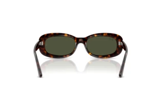 Vue arrière Ray-Ban RB2221 (902/31)