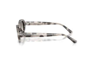 Seitenansicht Ray-Ban RB2223 (144832)