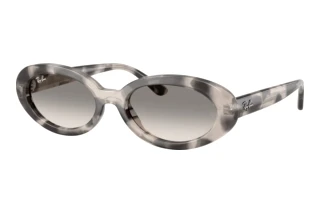 Vorderansicht Ray-Ban RB2223 (144832)