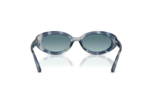 Vue arrière Ray-Ban RB2223 (14503M)
