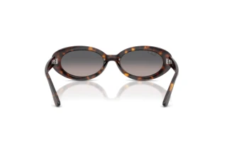Vue arrière Ray-Ban RB2223 (902/M3)