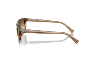 Vue latérale Ray-Ban RB2225 (664051)