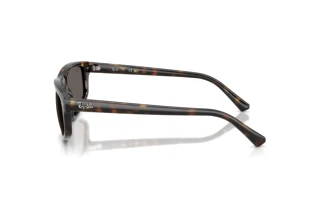 Vue latérale Ray-Ban RB2225 (710/B1)