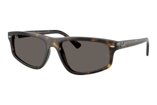 Vue de face Ray-Ban RB2225 (710/B1)