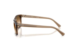 Seitenansicht Ray-Ban RB2226 (664051)