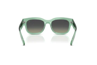 Rückansicht Ray-Ban RB2228M (F70911)