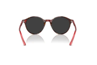 Vue arrière Ray-Ban BERNARD (RB2230 - 141948)