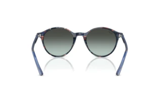 Vue arrière Ray-Ban BERNARD (RB2230 - 1420GK)