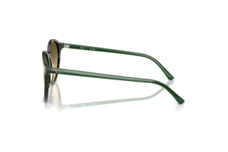 Seitenansicht Ray-Ban BERNARD (RB2230 - 14210A)