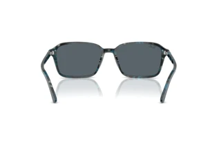 Vista posteriore Ray-Ban RAIMOND (RB2231 - 1417R5)