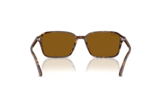 Vista posteriore Ray-Ban RAIMOND (RB2231 - 141833)