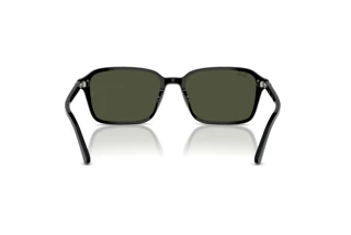 Vue arrière Ray-Ban RAIMOND (RB2231 - 901/31)