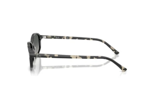 Vue latérale Ray-Ban RB2232 (133371)