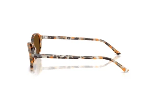 Vue latérale Ray-Ban RB2232 (135757)