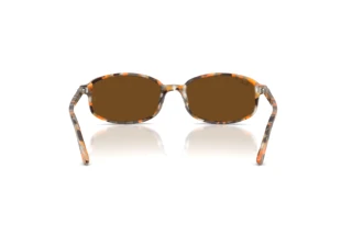 Vue arrière Ray-Ban RB2232 (135757)