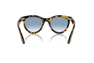 Rückansicht Ray-Ban WAYFARER WAY (RB2241 - 13323F)