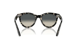 Vue arrière Ray-Ban WAYFARER WAY (RB2241 - 133371)