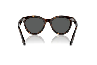 Vue arrière Ray-Ban WAYFARER WAY (RB2241 - 902/B1)