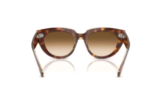 Rückansicht Ray-Ban DOREEN (RB2286 - 141451)