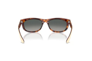 Vue arrière Ray-Ban BALORAMA (RB2489 - 144371)