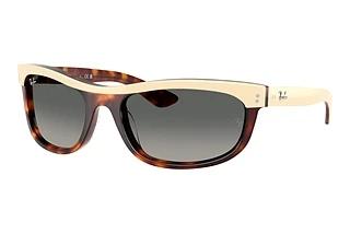 Ray-Ban RB2489 144371 Gradient GreyBeige Havana