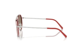 Vue latérale Ray-Ban RB3765 (003/7O)