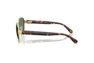 Vue latérale Ray-Ban RB3766CH (001/O9)