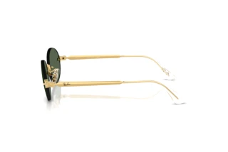 Vue latérale Ray-Ban RB3929 (001/71)