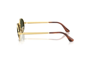 Vue latérale Ray-Ban RB3931 (001/31)