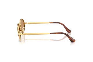 Vue latérale Ray-Ban RB3931 (001/53)
