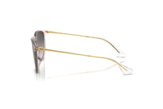 Seitenansicht Ray-Ban ERIKA (RB4171 - 674211)