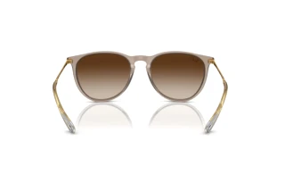 Rückansicht Ray-Ban ERIKA (RB4171 - 674413)