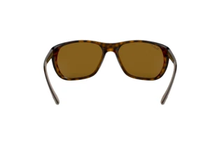 Vue arrière Ray-Ban RB4307 (710/83)