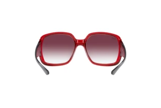 Rückansicht Ray-Ban POWDERHORN (RB4347 - 66628H)